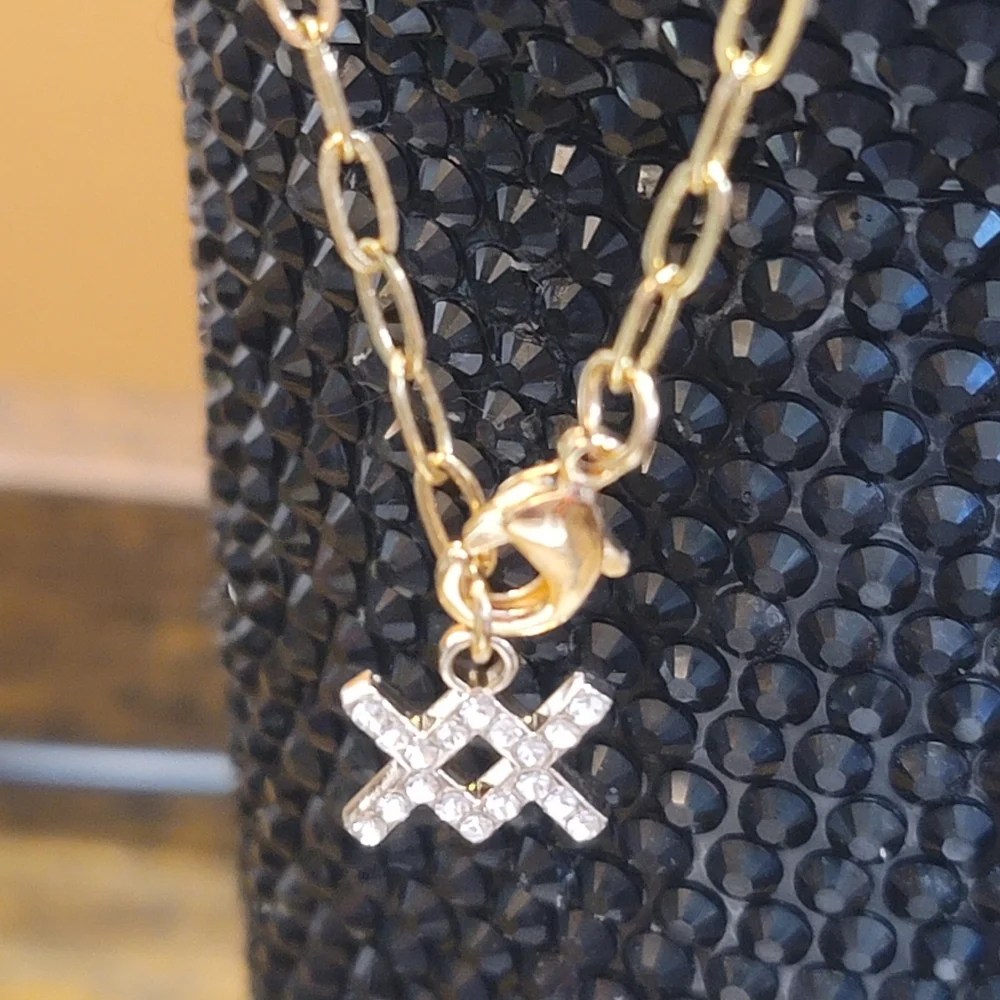 Aquarius Zodiac Sign Tumbler Charm